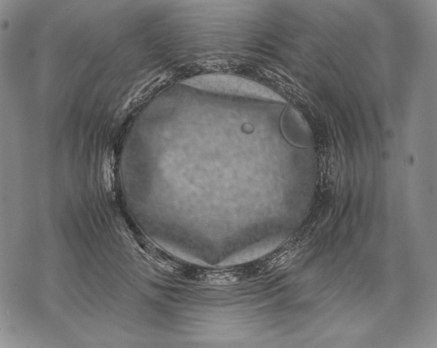 X0000071810702200607141610