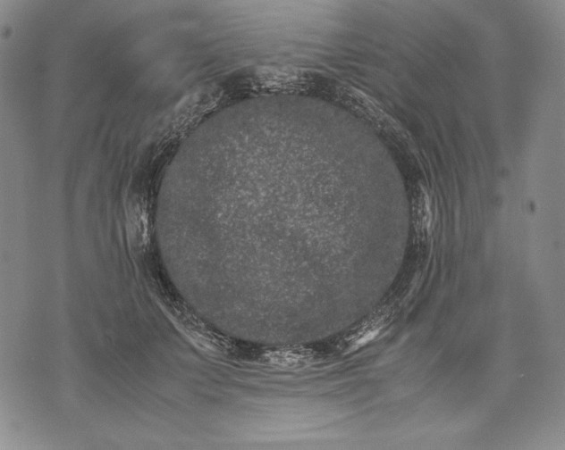 X0000071810703200607141610