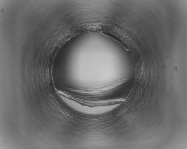 X0000071810704200607141610