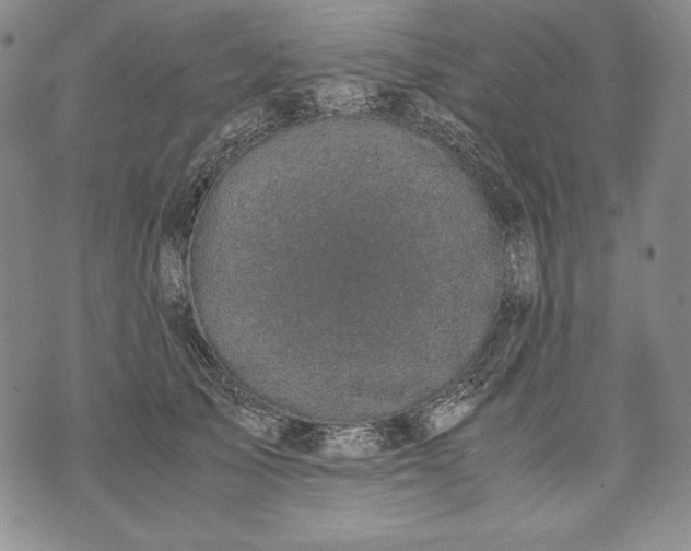 X0000071810705200607141610