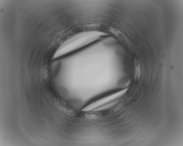 X0000071810706200607141610