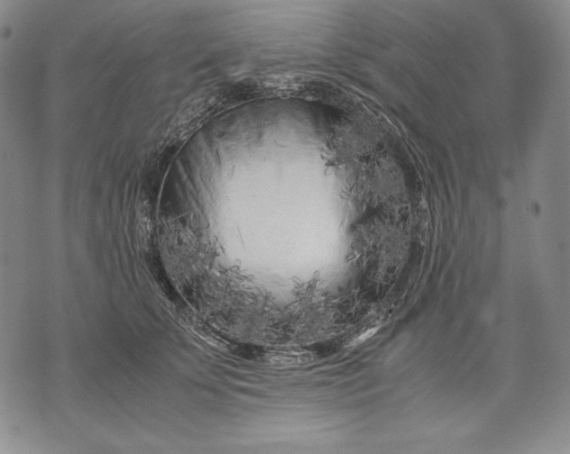 X0000071810707200607141610