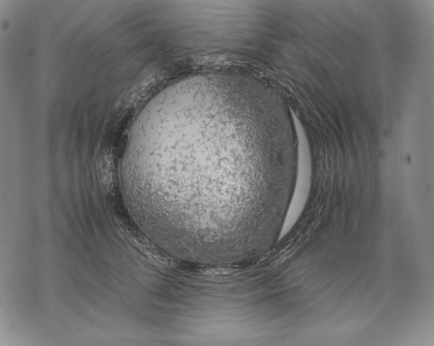 X0000071810708200607141610