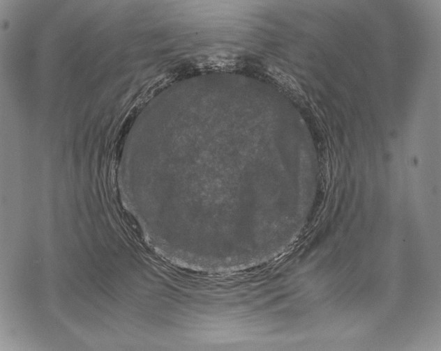 X0000071810709200607141610