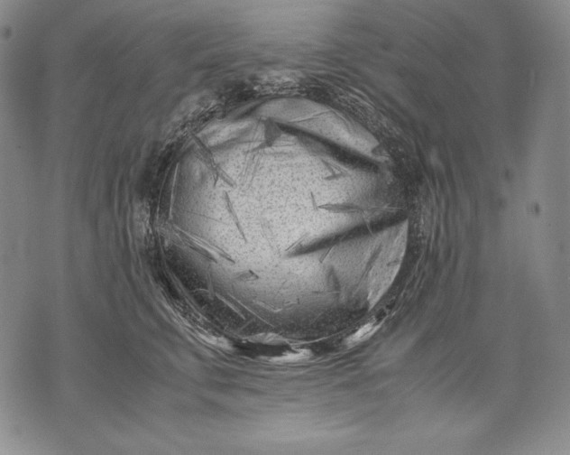 X0000071810711200607141610