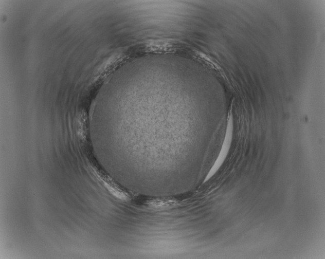 X0000071810712200607141610