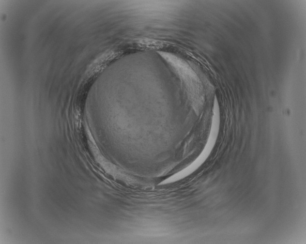 X0000071810713200607141610