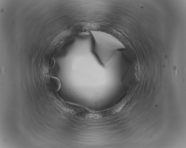 X0000071810714200607141610