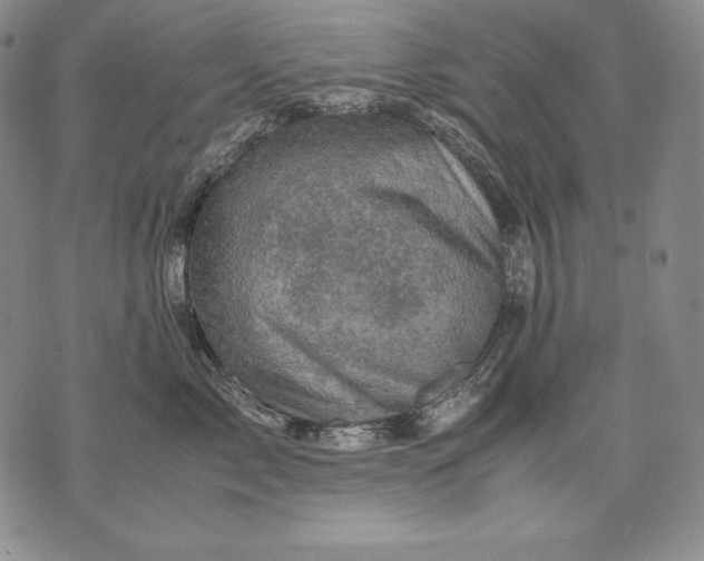 X0000071810717200607141610