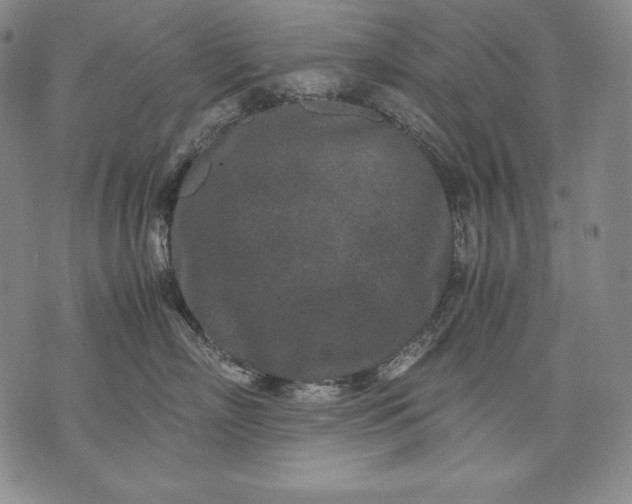 X0000071810718200607141610