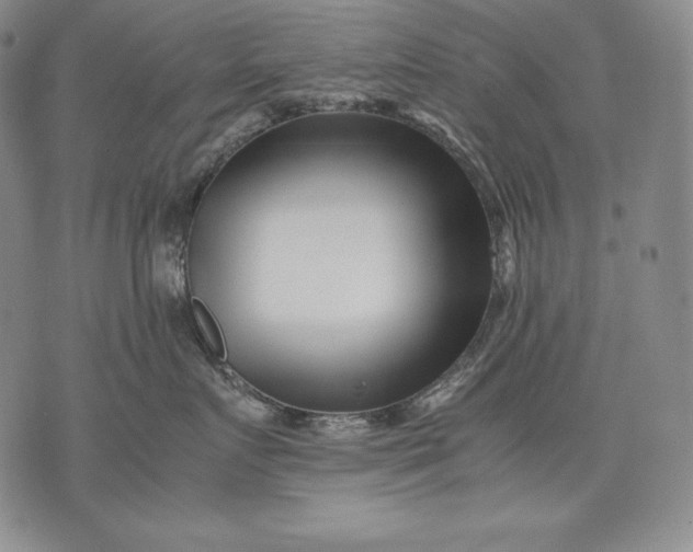 X0000071810719200607141610