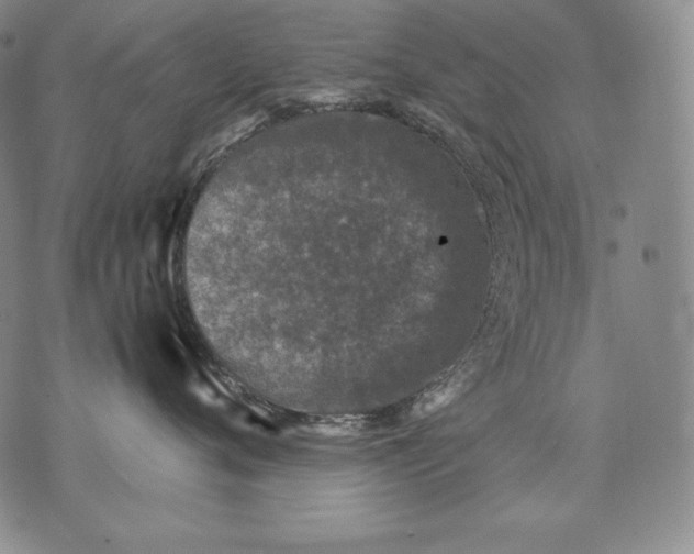 X0000071810720200607141610