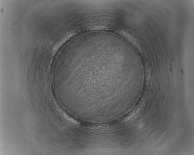 X0000071810721200607141609