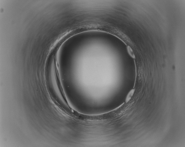 X0000071810722200607141609