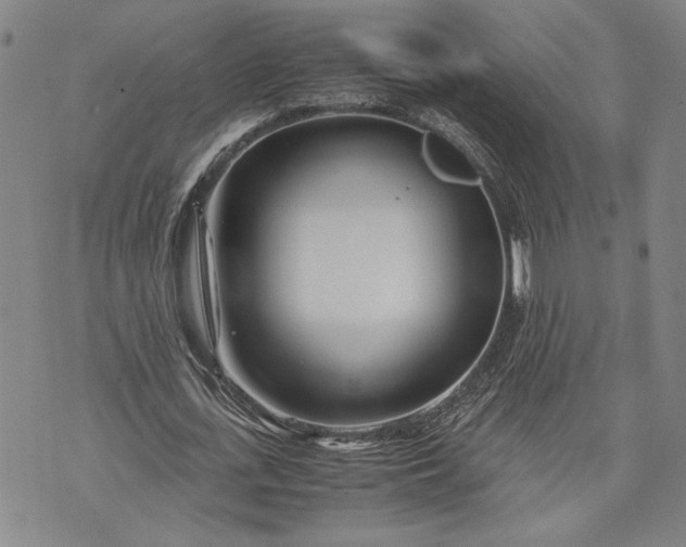 X0000071810723200607141609