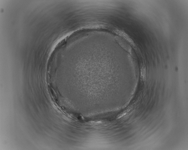 X0000071810724200607141609