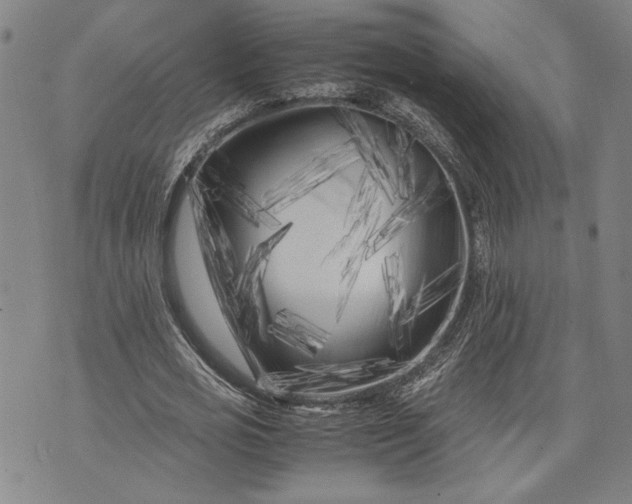 X0000071810725200607141609