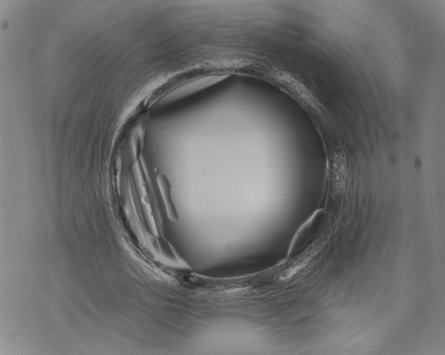 X0000071810726200607141609