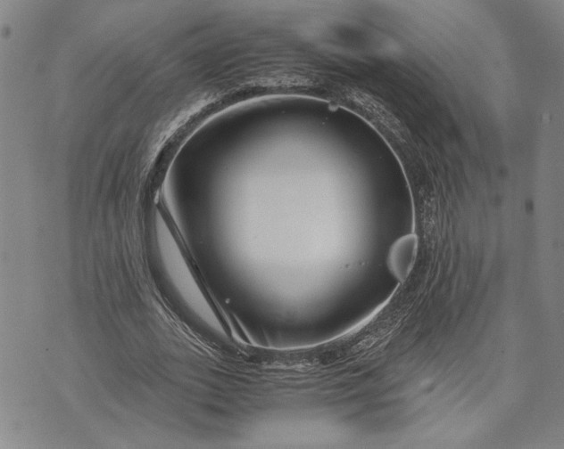 X0000071810727200607141609