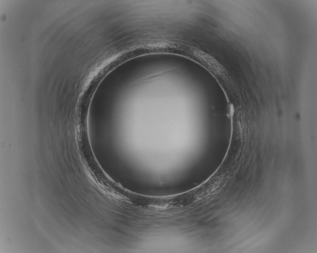 X0000071810728200607141609