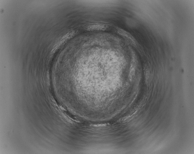 X0000071810729200607141609