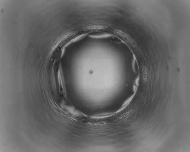 X0000071810731200607141610