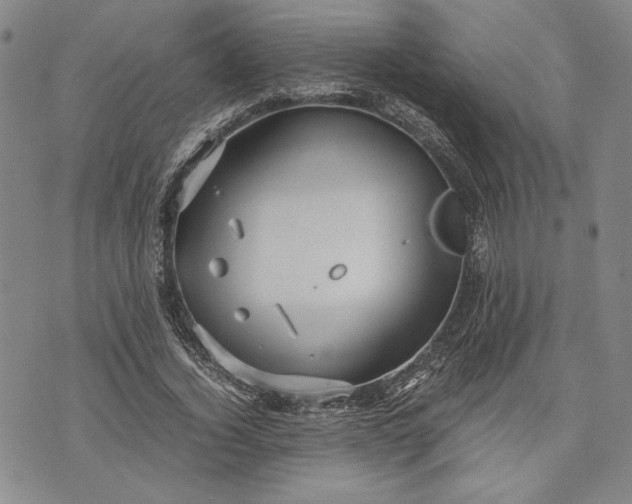 X0000071810732200607141610