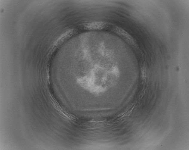 X0000071810733200607141610