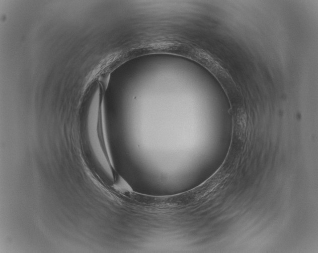 X0000071810734200607141610