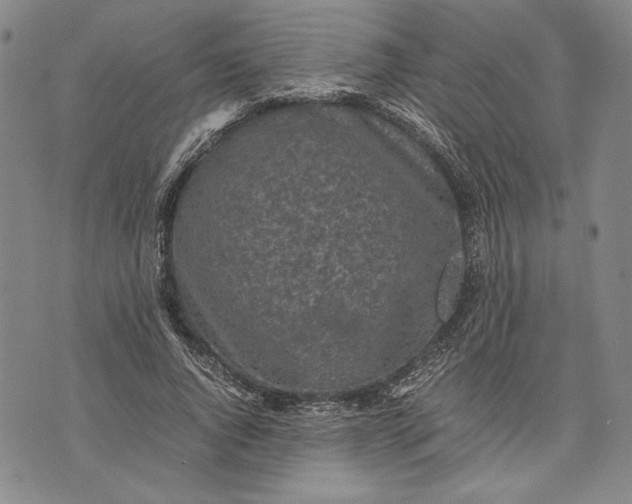 X0000071810736200607141610