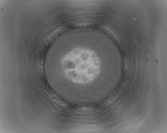 X0000071810737200607141610