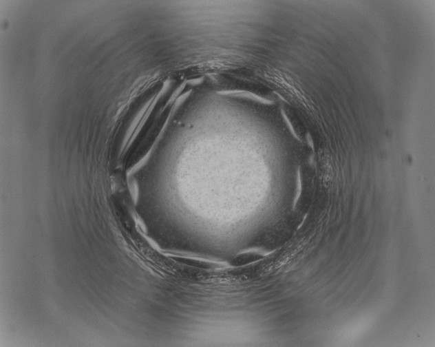 X0000071810738200607141610