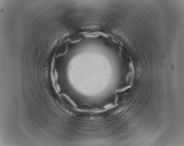 X0000071810739200607141610