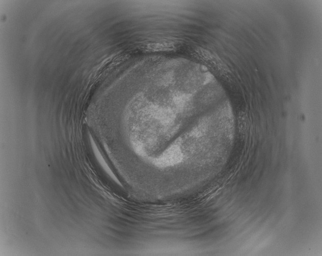 X0000071810741200607141610