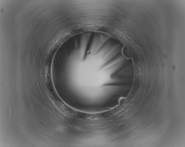 X0000071810742200607141610