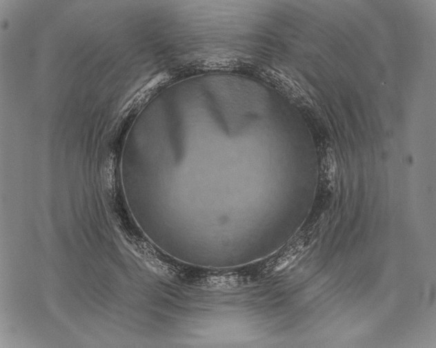 X0000071810744200607141610