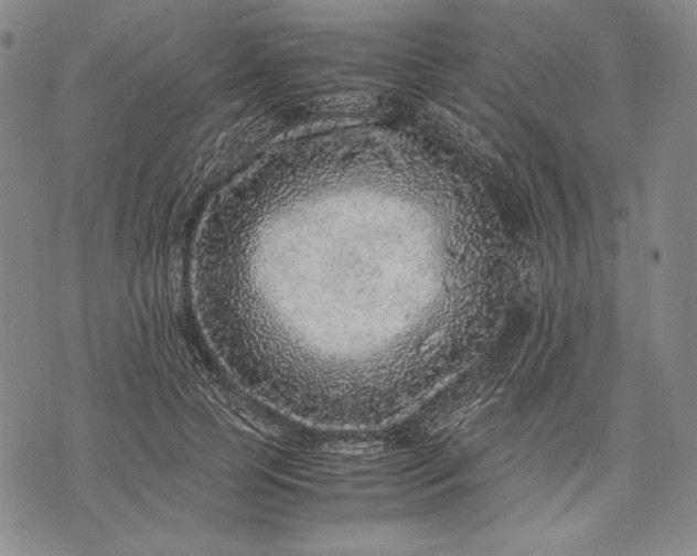 X0000071810745200607141610