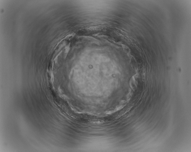 X0000071810746200607141610