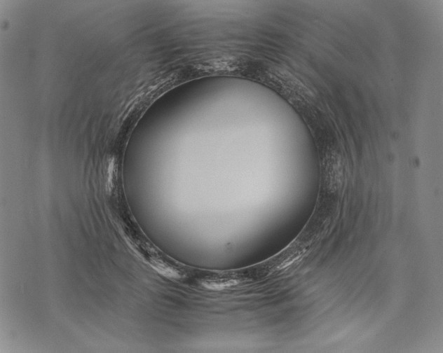 X0000071810747200607141610