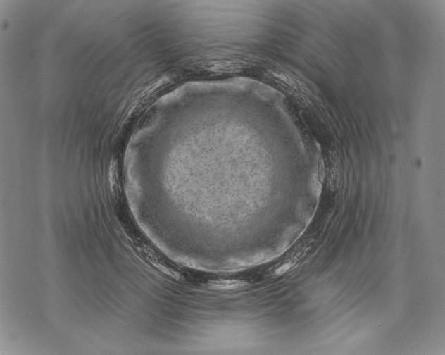 X0000071810748200607141610