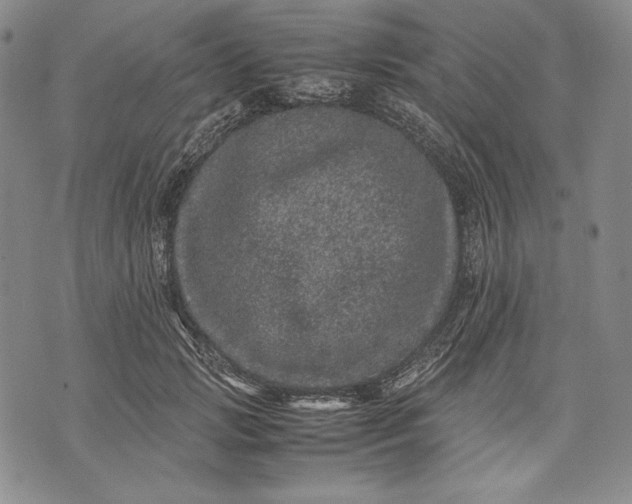 X0000071810749200607141610