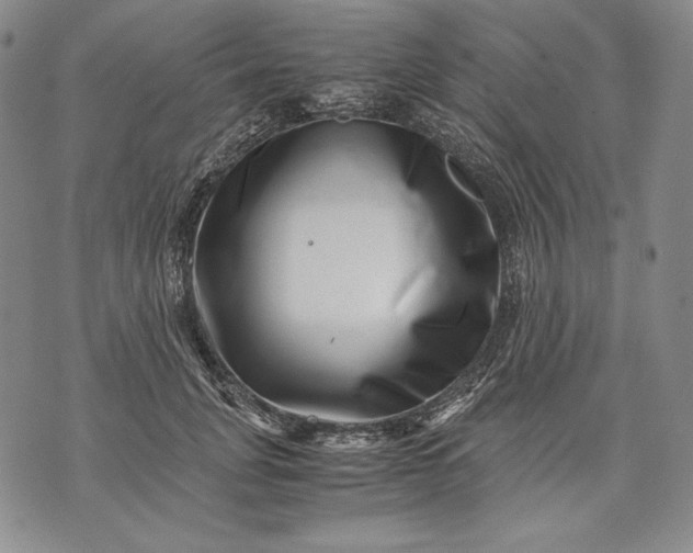 X0000071810751200607141610