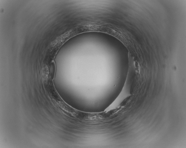 X0000071810752200607141610