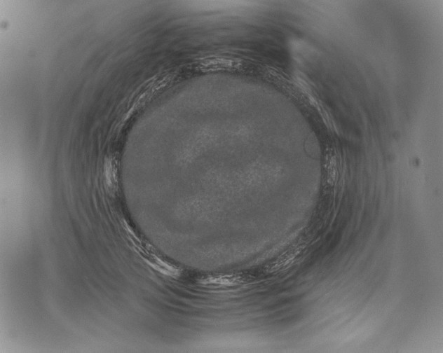 X0000071810753200607141610