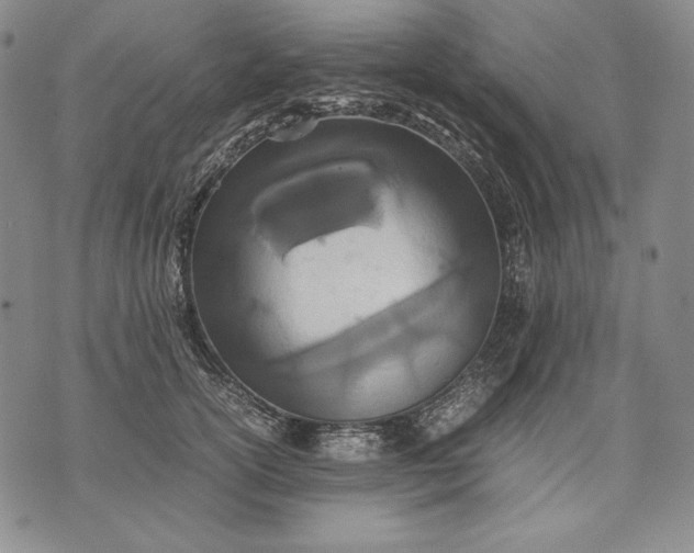 X0000071810754200607141610