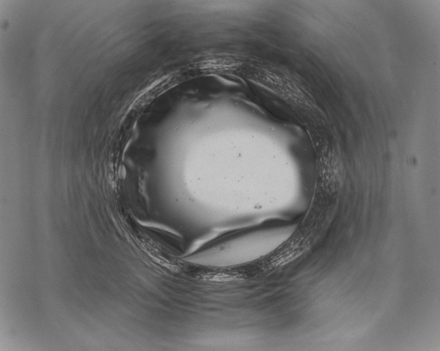 X0000071810755200607141610