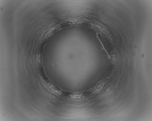 X0000071810756200607141610