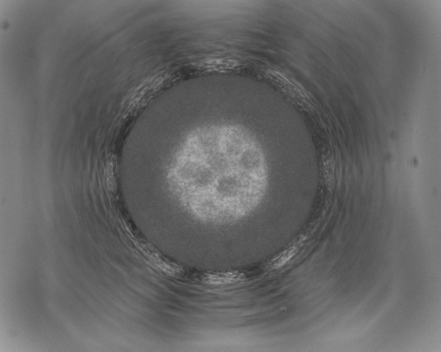 X0000071810757200607141610