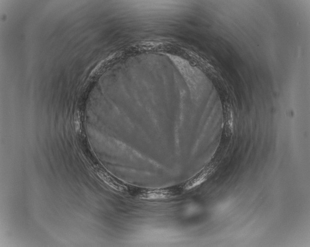 X0000071810758200607141610