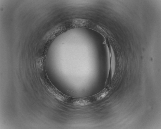 X0000071810759200607141610